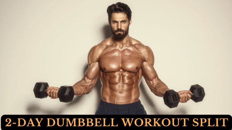 2 Day Dumbbell Workout Split