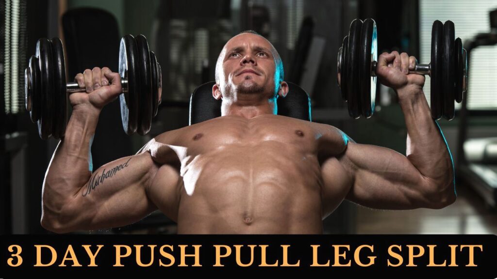 3 Day Push Pull Legs (PPL) Workout Split for Beginners