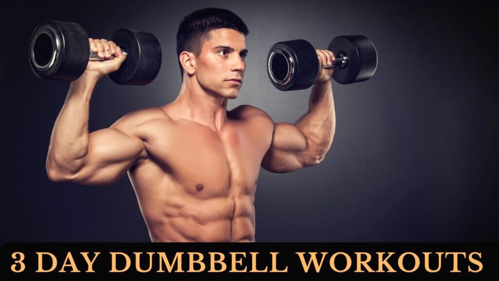 3 Day dumbbell Workout Plan (Best Workout Splits)