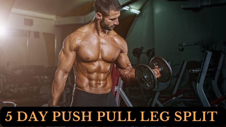 5 Day Push Pull Legs Split