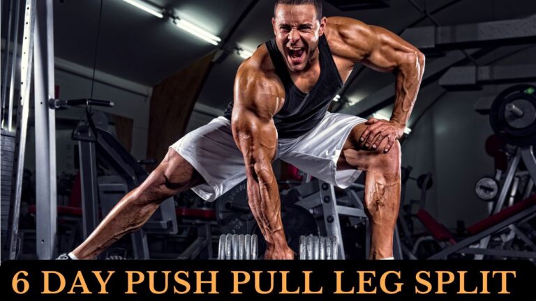 6 day push pull legs PPLWorkout split