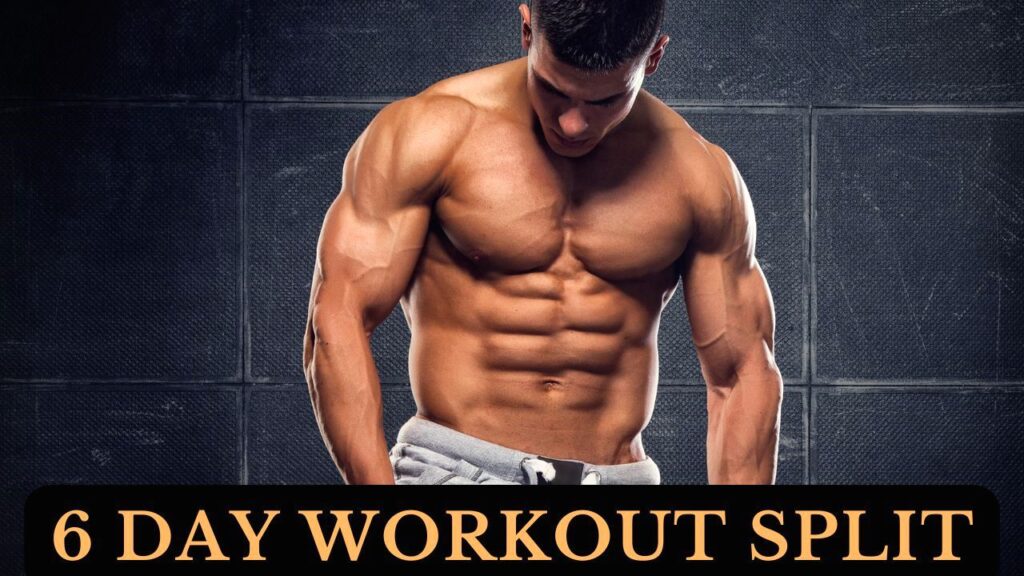 6 day workout split