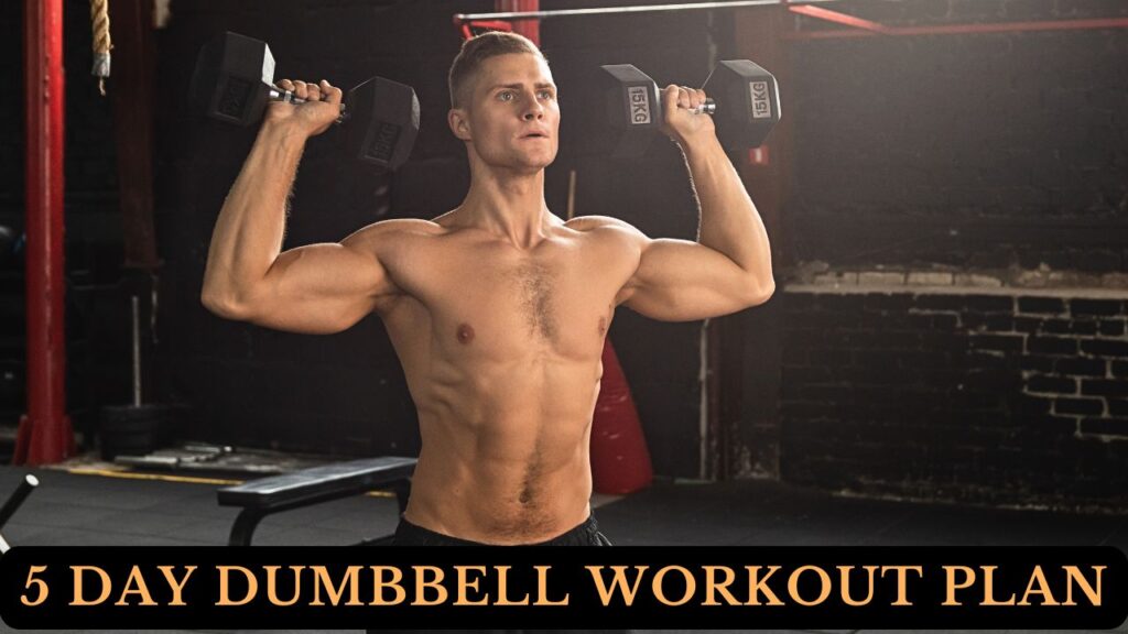 5 Day Dumbbell Workout Split