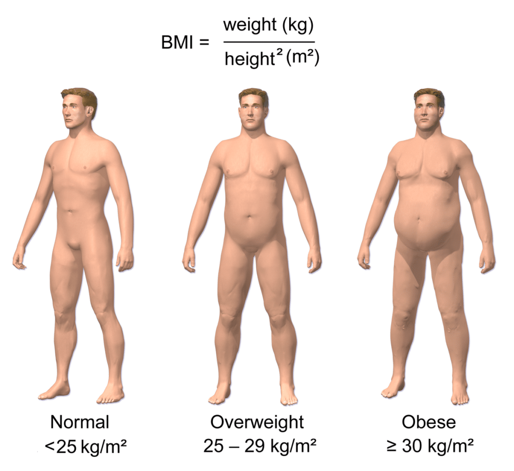 BMI Categories