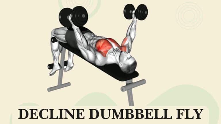 Decline Dumbbell Fly