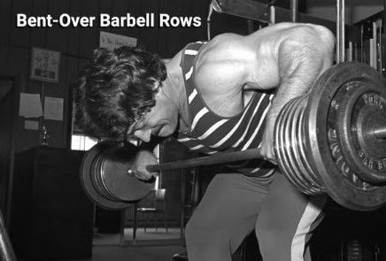 Mike Barbell Row