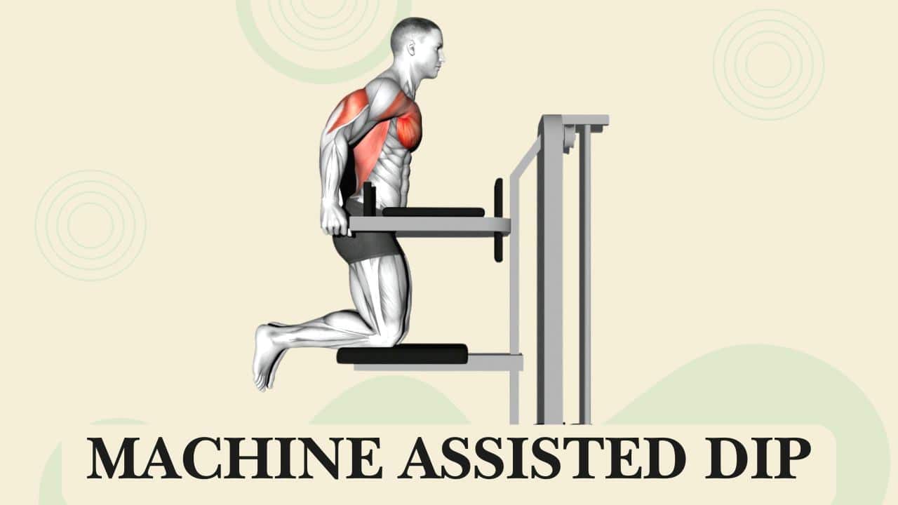 Assisted Dip