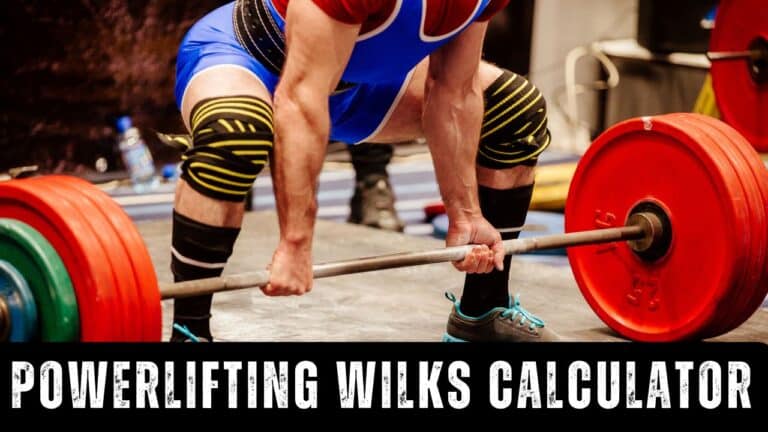 Powerlifting Wilks Calculator