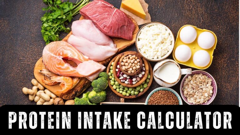 Protein Intake Calculator