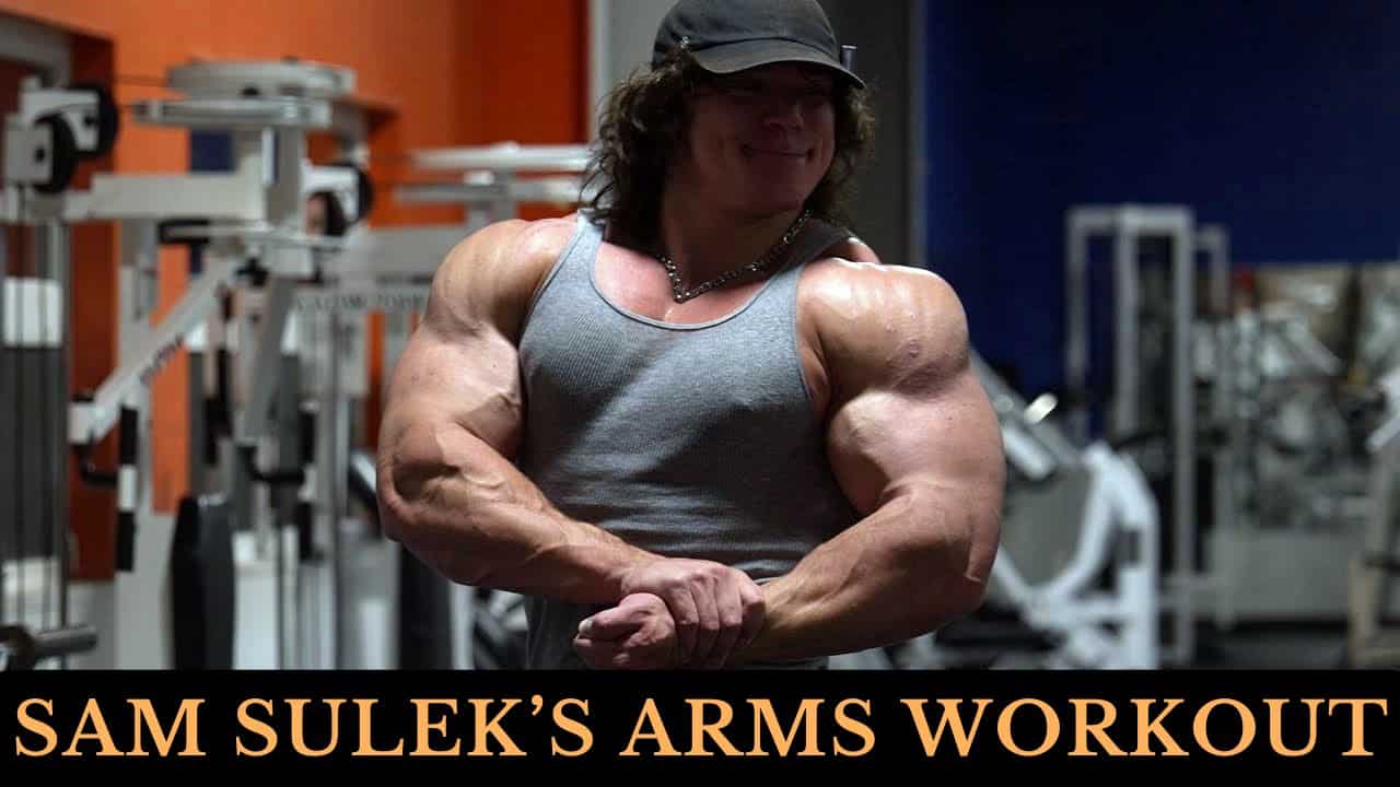 Sam Sulek Arms Workout
